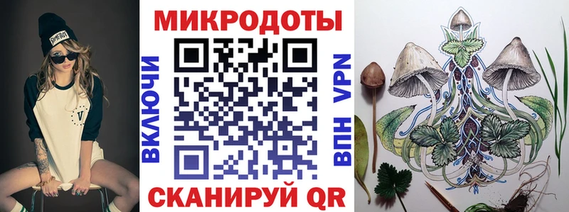 закладки  Бердск  Галлюциногенные грибы мицелий 